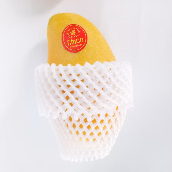 Colorful EPE Foam Packing Net for Papaya